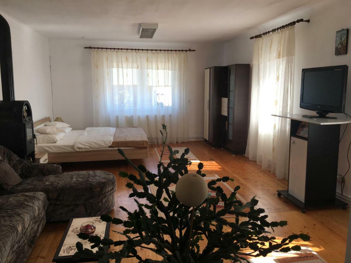 Appartement Brick Airport à Cristian  Extérieur photo